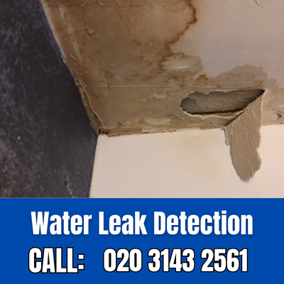 Expert Water Leak Detection Services in Lamorbey | Lamorbey Leak Detection